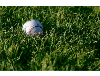 Baseball & Softball Evaluations - Green Hill Park